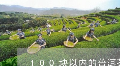 100块以内的普洱茶/2023062586162