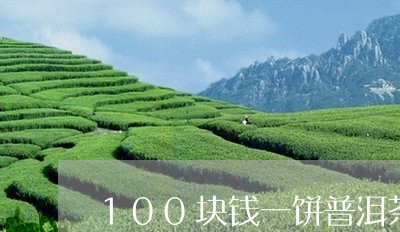 100块钱一饼普洱茶/2023092718261