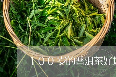 100岁的普洱茶好坏/2023080139572