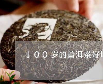 100岁的普洱茶好坏/2023100686168