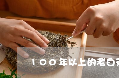 100年以上的老白茶/2023080115279