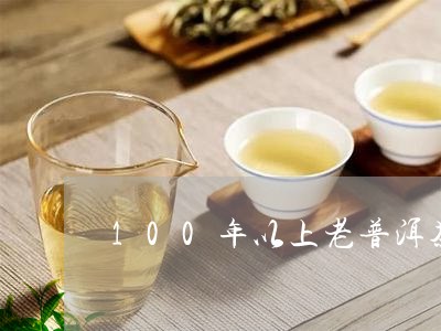 100年以上老普洱茶/2023062753617