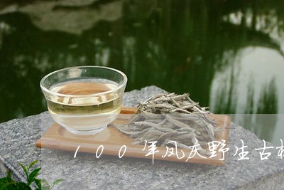 100年凤庆野生古树红茶/2023051220614