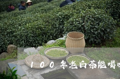 100年老白茶能喝吗/2023092739472