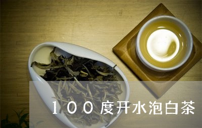 100度开水泡白茶/2023071335957