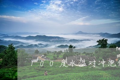 100度水温对冲泡什么茶叶最适宜/2023060459383