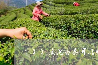 100度泡白茶可以吗/2023092793725