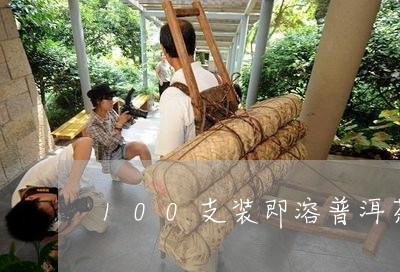 100支装即溶普洱茶/2023073119475