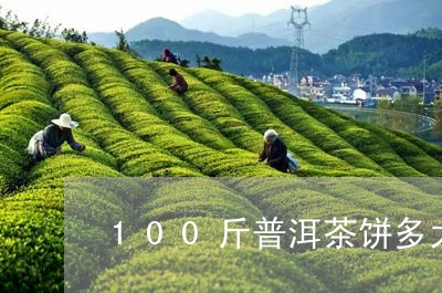 100斤普洱茶饼多大/2023062582939