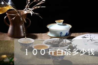 100斤白茶多少钱/2023071384916