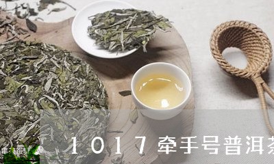 1017牵手号普洱茶/2023062890636