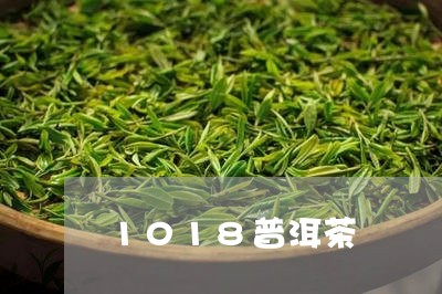 1018普洱茶/2023120380725