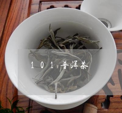 101普洱茶/2023042979082