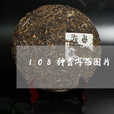 108种普洱茶图片/2023070841725