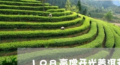 108高僧开光普洱茶/2023100701686