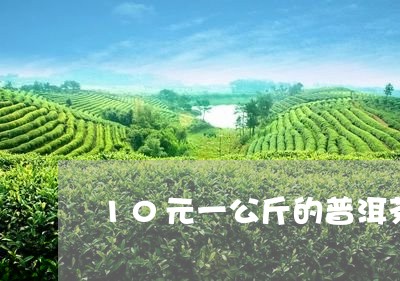 10元一公斤的普洱茶/2023061743269