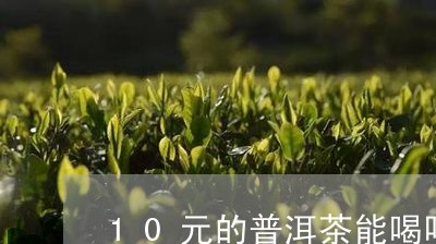 10元的普洱茶能喝吗/2023093004068