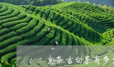 10克安吉白茶有多少/2023092772805