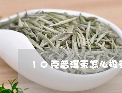 10克普洱茶怎么投茶/2023100711815