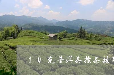 10克普洱茶投茶技巧/2023080300403