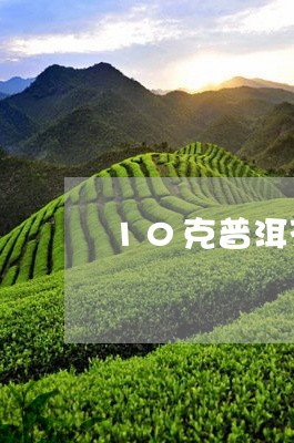 10克普洱茶投茶方法/2023100777582