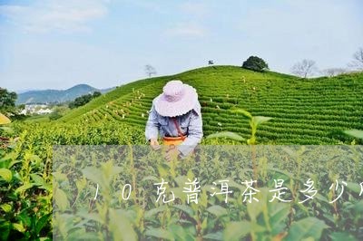 10克普洱茶是多少斤茶/2023112887169