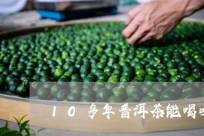 10多年普洱茶能喝吗/2023072495059