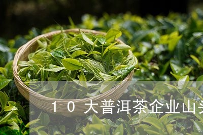 10大普洱茶企业山头品牌排行榜/2023110325036