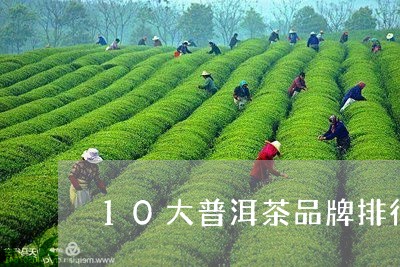 10大普洱茶品牌排行榜/2023050614727