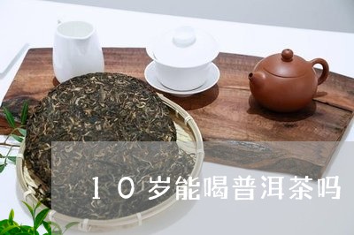 10岁能喝普洱茶吗/2023071036573