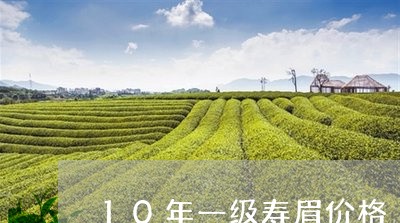 10年一级寿眉价格/2023120450586