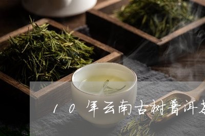 10年云南古树普洱茶/2023061884260