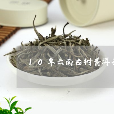 10年云南古树普洱茶/2023092963947