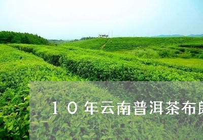 10年云南普洱茶布朗/2023080130591