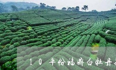 10年份福鼎白牡丹茶饼/2023092305026