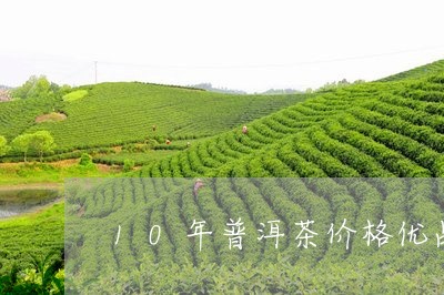 10年普洱茶价格优品/2023062245359