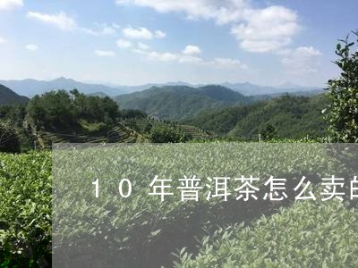 10年普洱茶怎么卖的好/2023110505047