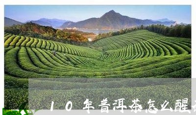 10年普洱茶怎么醒茶/2023080312626