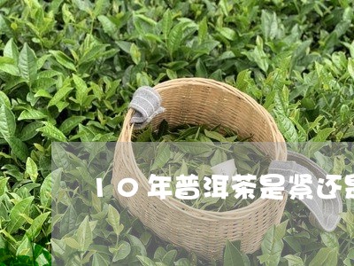 10年普洱茶是紧还是/2023062336061