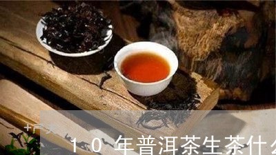 10年普洱茶生茶什么价格/2023112847351