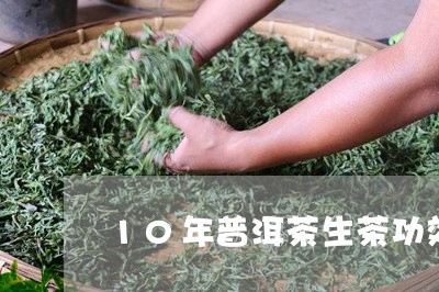 10年普洱茶生茶功效/2023080308582