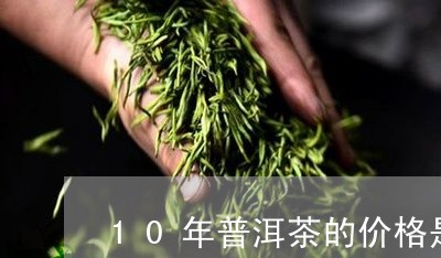 10年普洱茶的价格是多少/2023110262837