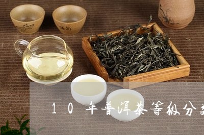 10年普洱茶等级分类/2023063084939