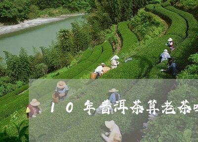 10年普洱茶算老茶吗/2023070170304