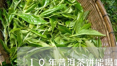 10年普洱茶饼能喝吗/2023092986392