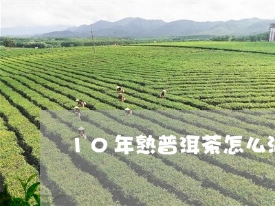 10年熟普洱茶怎么泡/2023061851835