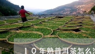 10年熟普洱茶怎么泡/2023072464736