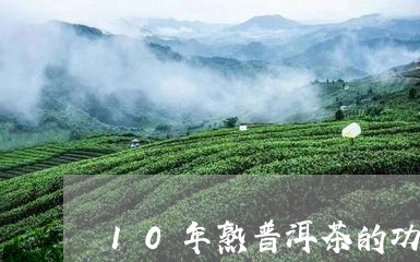 10年熟普洱茶的功效/2023072417527