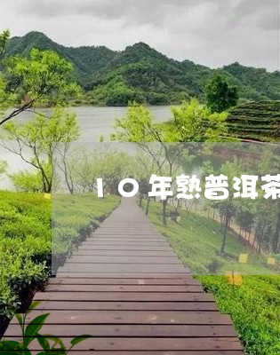 10年熟普洱茶的功效/2023092806391