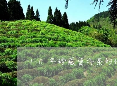 10年珍藏普洱茶的价格/2023122048402